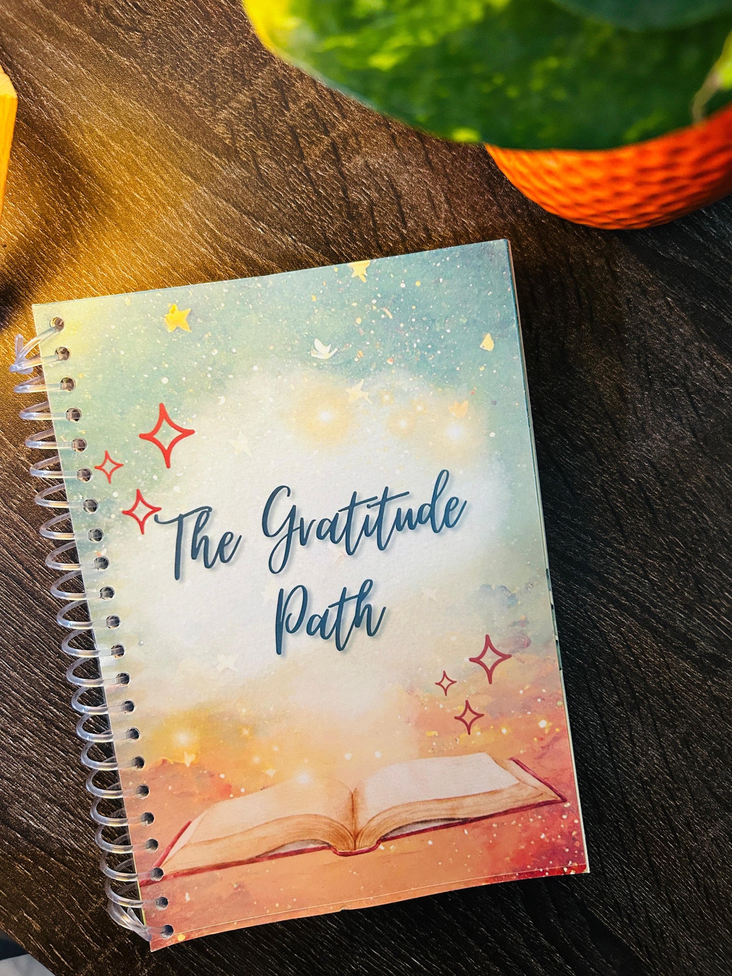 Gratitude Journal