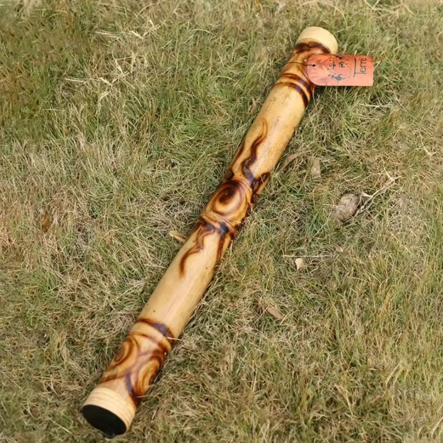 Rain Stick
