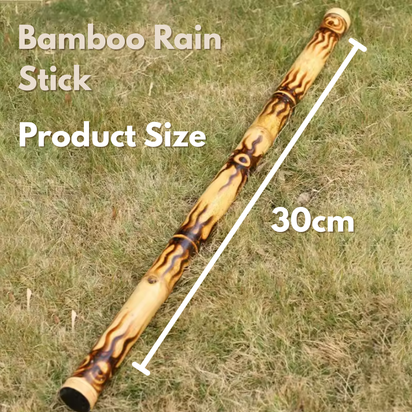 Rain Stick