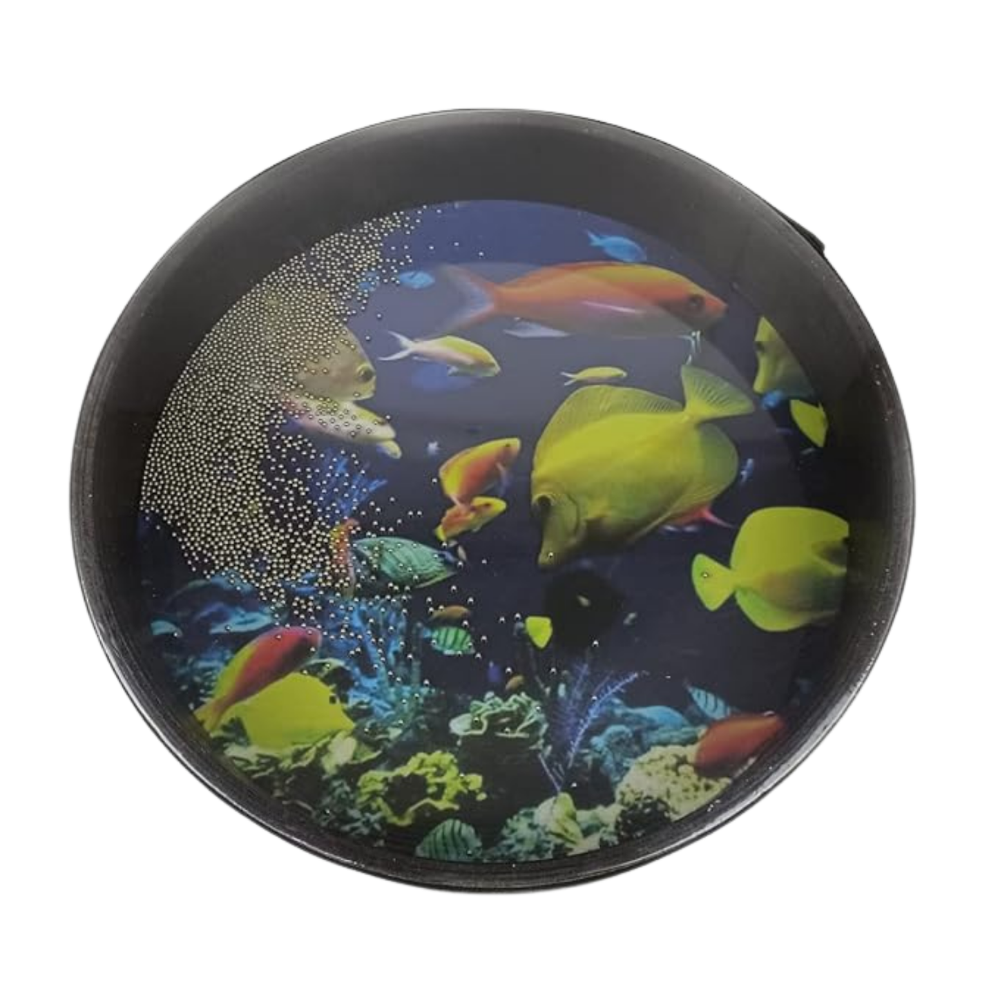 Singing Ocean Drum