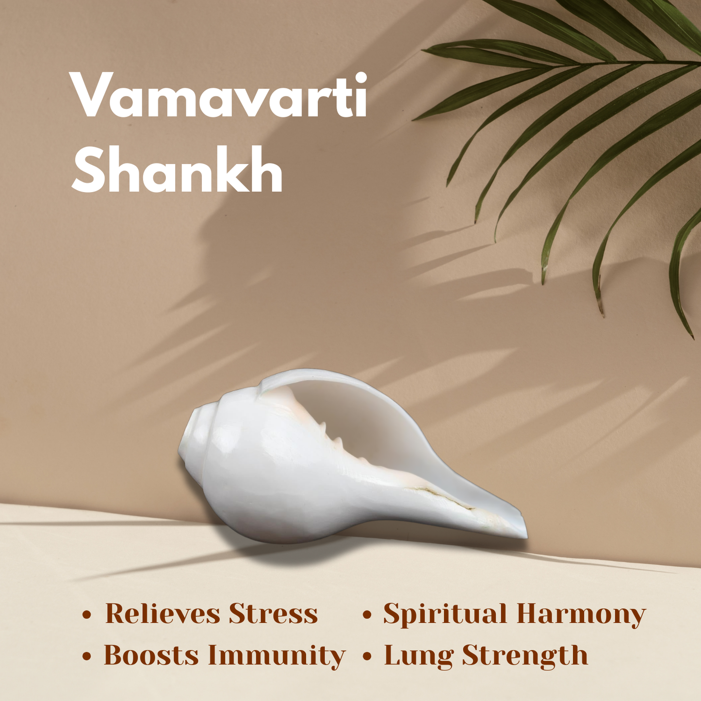 vamavarti Shankh