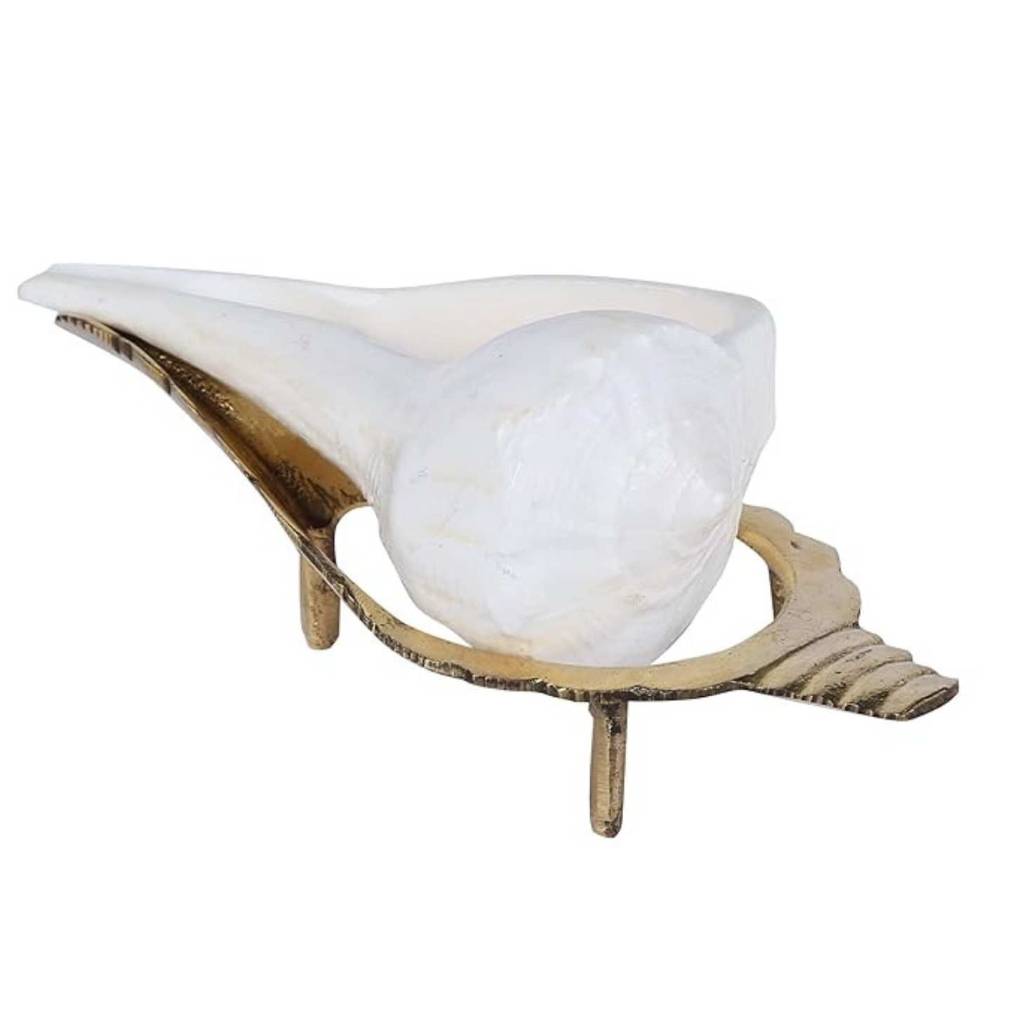 Shankh stand